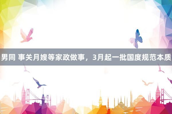 男同 事关月嫂等家政做事，3月起一批国度规范本质