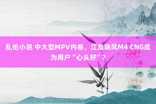 乱伦小说 中大型MPV内卷，江淮瑞风M4 CNG成为用户“心头好”？