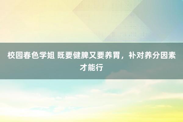 校园春色学姐 既要健脾又要养胃，补对养分因素才能行