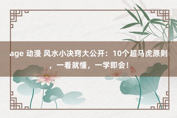age 动漫 风水小决窍大公开：10个超马虎原则，一看就懂，一学即会！